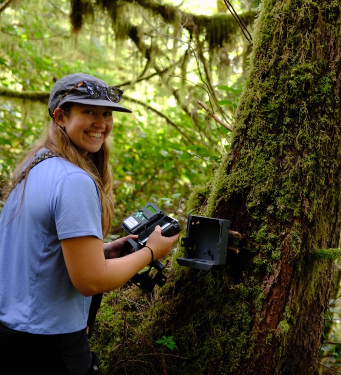 Johanna kneels by a tree, servicing a remote wildlife camera on the Central Coast of British Columbia.